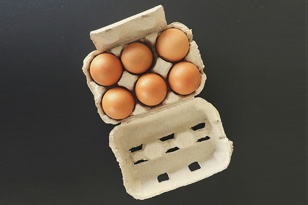 Large fee range eggs x6